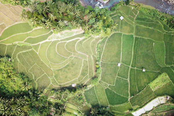 agriculture Drone Shot - Edinburgh Drone Company