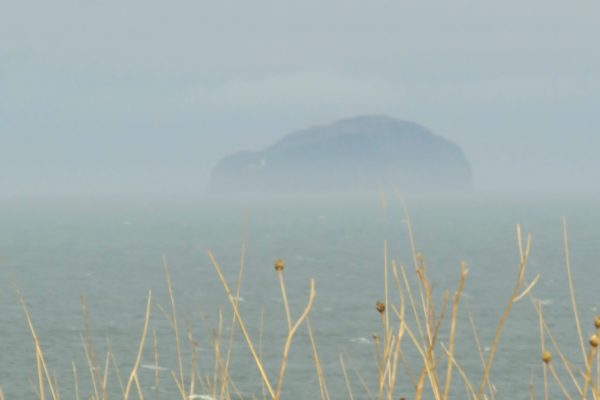 DJI Air from in Scotland - Above The Bass Rock EDC1